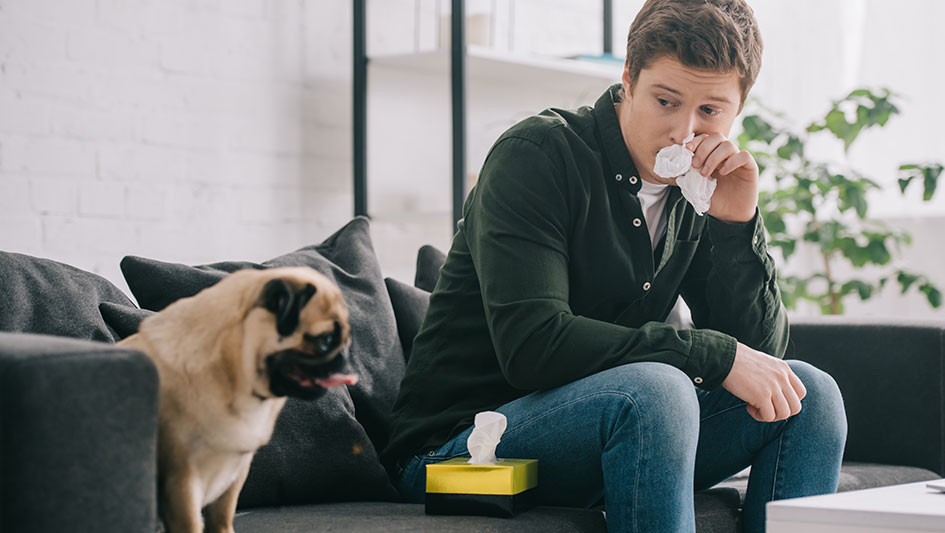Installing an air purifier is one of the top ways to boost your house’s indoor air quality. Find out more about the three top solutions. 